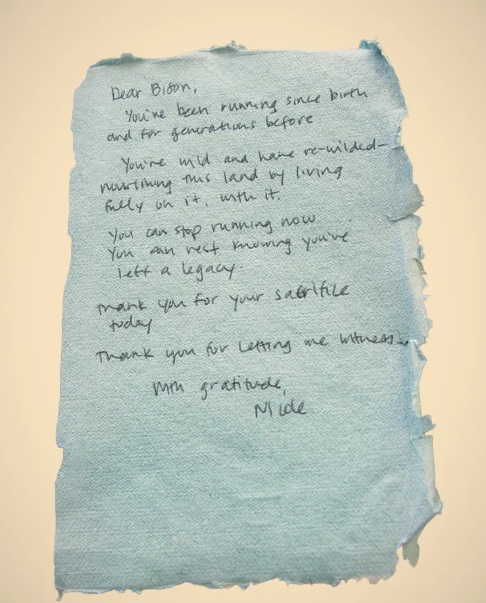 A handwritten letter of gratitude to a bison on blue handmade paper