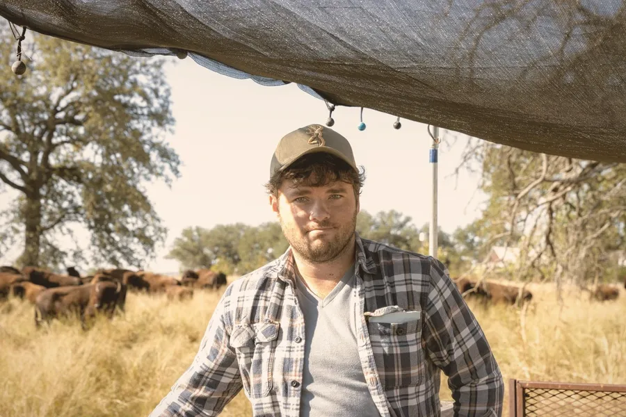 A rancher sits beneath a shade canopy with a bison herd behind him